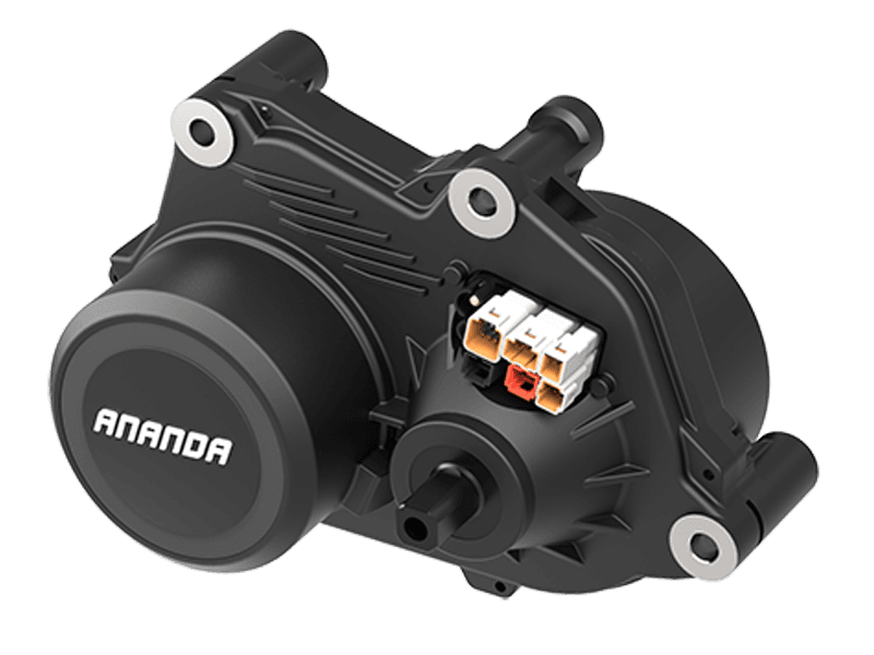 Motor Control-Ananda M81
