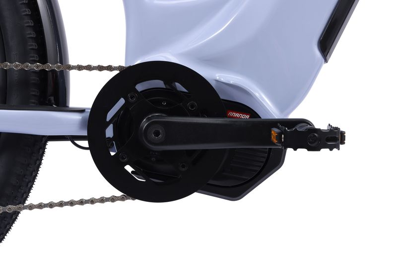 Control Step